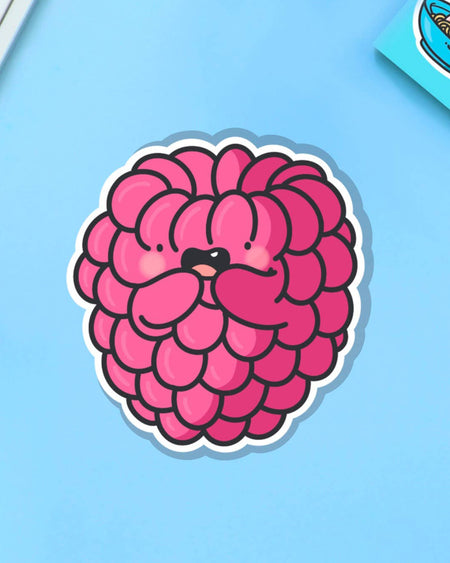 Whimsical raspberry vinyl sticker with a smiling berry face and pink paws, designed by Toastedink. Pictured on a bright blue background. Stocked by Rebel Romance, a UK indie brand that sells retro and joyful gifts for millennials.