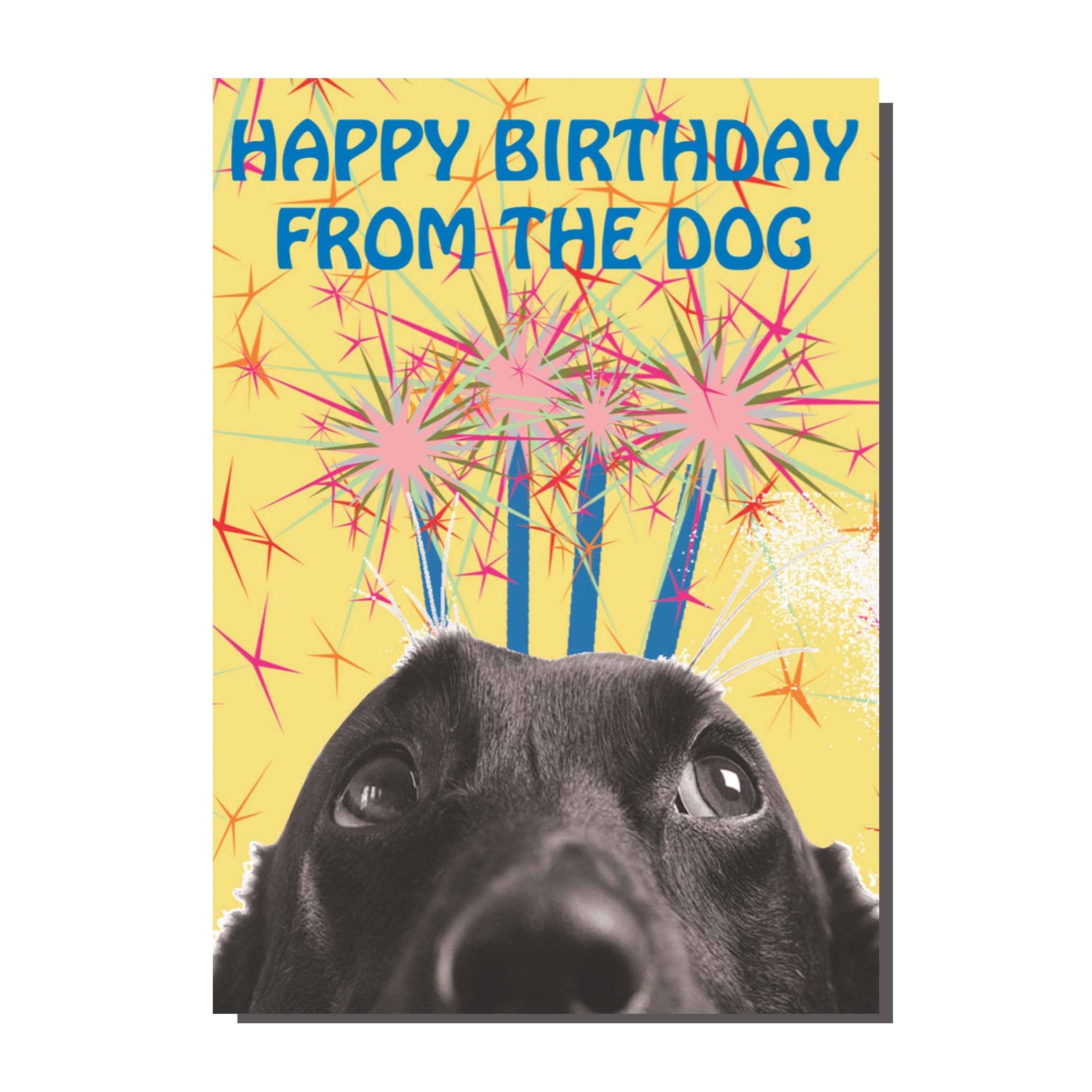 Greeting card by Rebel Romance featuring a black and white close-up of a dog's face with wide eyes, looking up at colourful fireworks and bold blue text that reads 