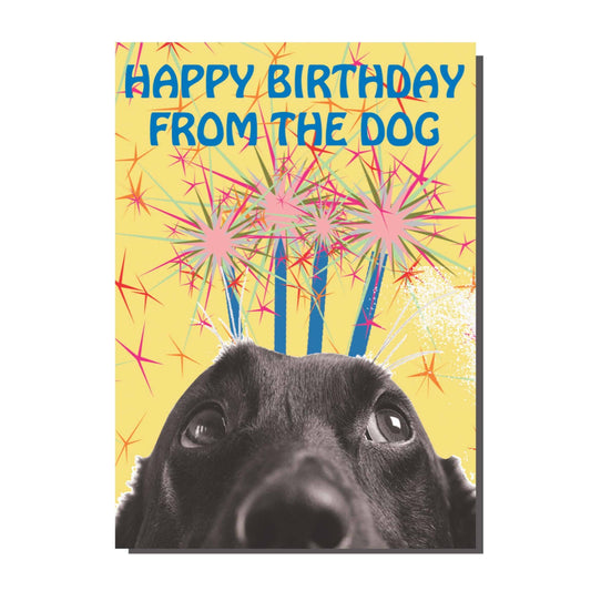 Greeting card by Rebel Romance featuring a black and white close-up of a dog's face with wide eyes, looking up at colourful fireworks and bold blue text that reads "Happy Birthday From The Dog" on a bright yellow background. Designed by Bite Your Granny. Perfect for dog lovers and quirky birthday wishes.