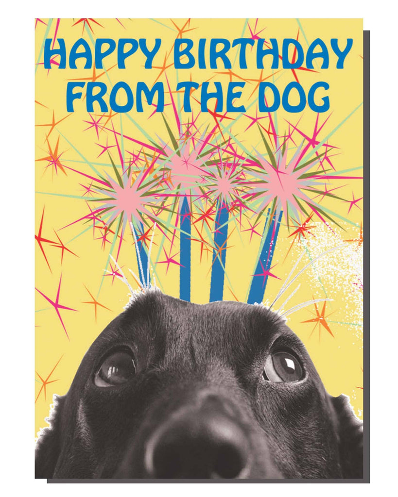 Greeting card by Rebel Romance featuring a black and white close-up of a dog's face with wide eyes, looking up at colourful fireworks and bold blue text that reads "Happy Birthday From The Dog" on a bright yellow background. Designed by Bite Your Granny. Perfect for dog lovers and quirky birthday wishes.