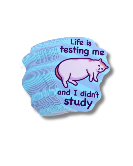 Holographic sticker with a cat illustration and text on a white background