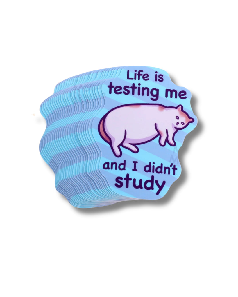 Holographic sticker with a cat illustration and text on a white background