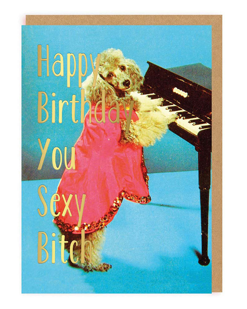 Funny birthday card featuring a poodle in a hot pink sparkly dress standing at a piano with gold foil text reading Happy Birthday You Sexy Bitch A bold and cheeky Smitten Kitten design perfect for friends with attitude