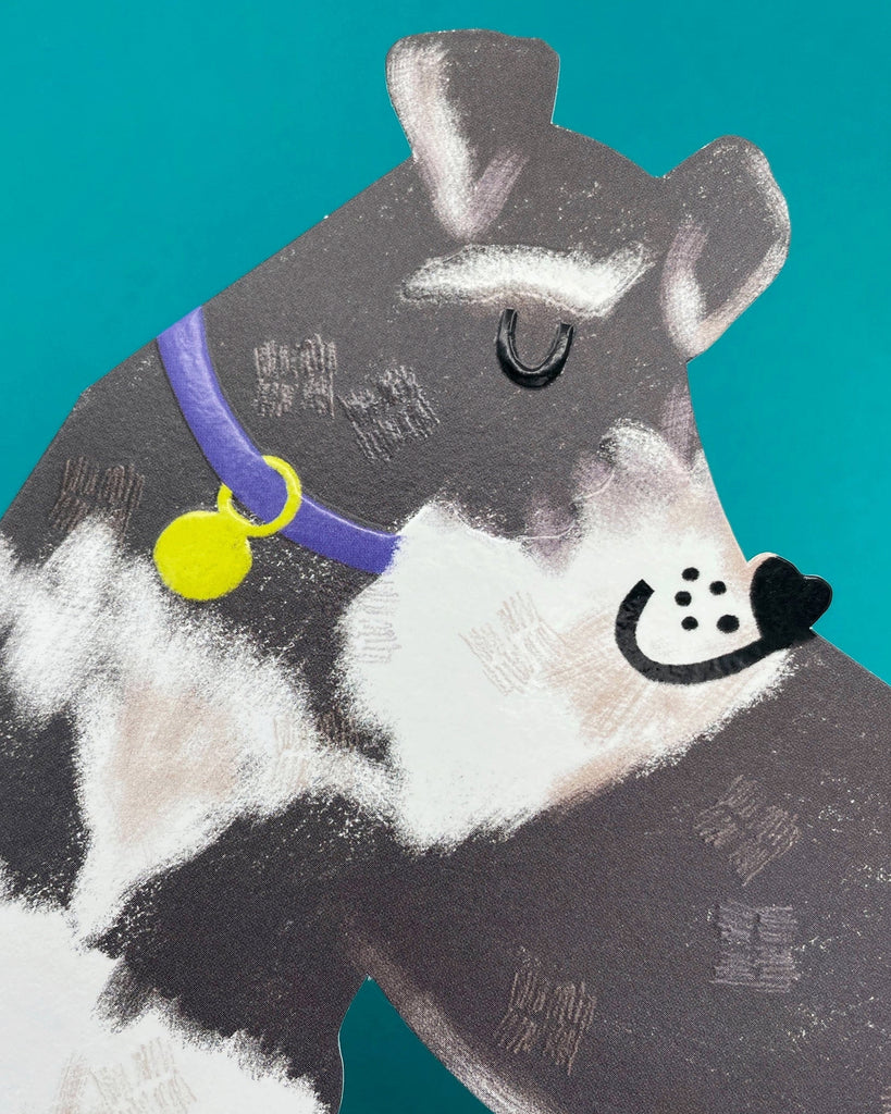 Close-up of schnauzer dog greeting card showing hand-drawn details and glossy spot UV finish on a bright background.