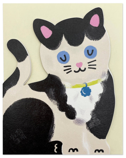 Die-cut Raspberry Blossom cat greeting card featuring a black and white kitten with blue eyes, pink nose, and yellow collar with tag, displayed on a cream background. Made in England.