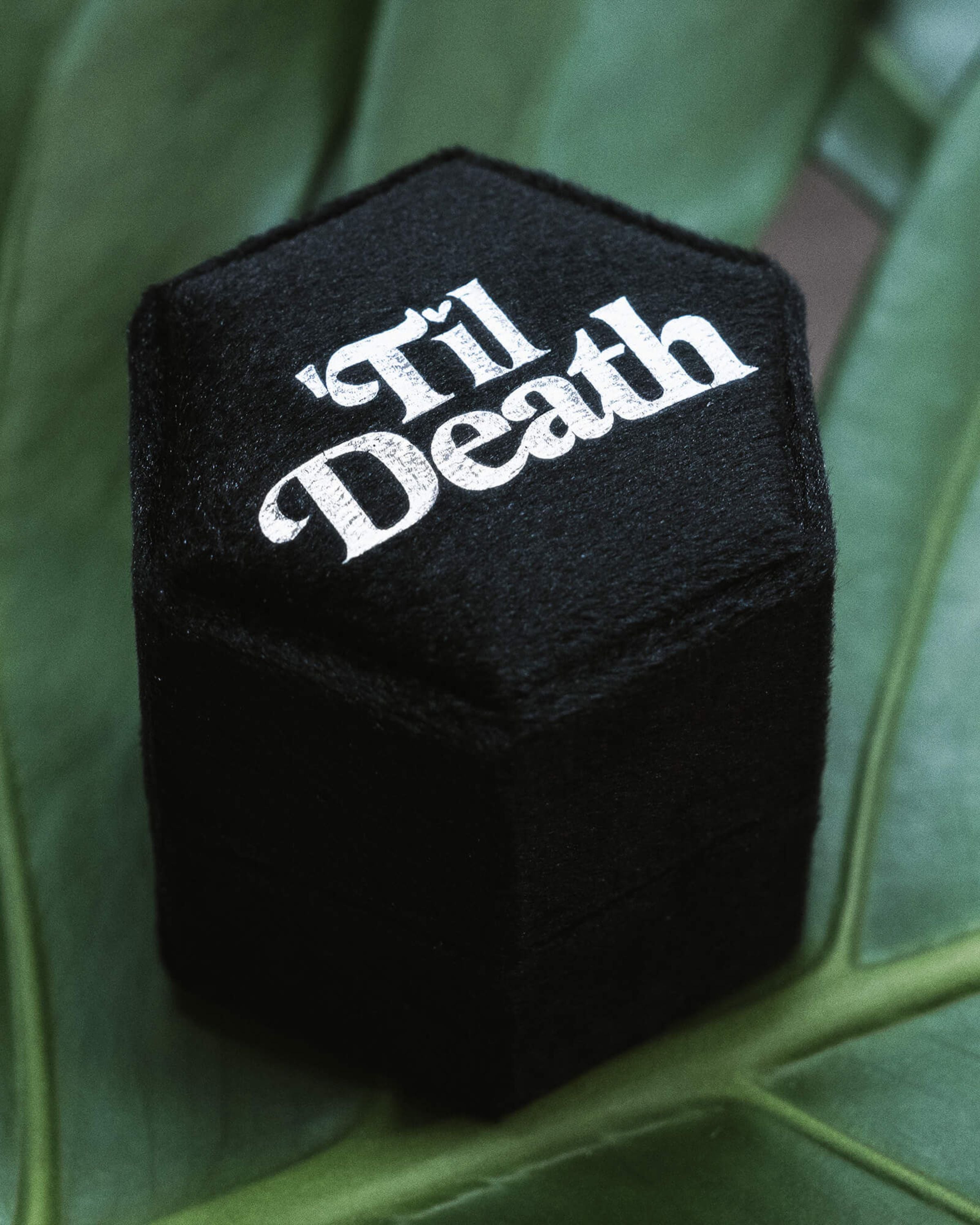 Angled black velvet hexagon ring box with 'Til Death' in bold white gothic font, styled on fresh green leaves. Ideal for gothic proposals, alternative engagements, and dark romantic jewellery storage. Rebel Romance, a UK small business, embraces alternative style with slow ethical fashion, statement socks, and unique gifts for bold millennials.