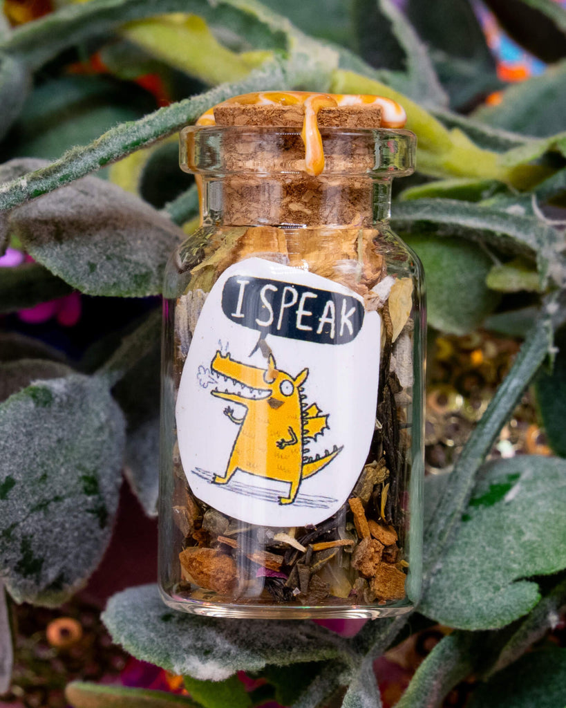 Happiness Enchanters “I Speak” Word Spell Bottle nestled in green foliage. The glass bottle contains herbs and crystals and is sealed with orange wax. Label features a cute orange dragon and the phrase “I Speak.” A magical gift for mindfulness and intention setting.