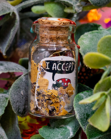A close-up of a tiny spell bottle nestled among green foliage, filled with herbs and botanical bits. The front label reads “I Accept” with an illustrated toadstool pixie character. The wax seal is visible at the top. Handmade by Happiness Enchanters and available at Rebel Romance.