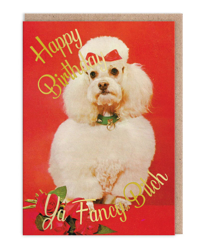 Funny dog birthday card by Rebel Romance featuring a glam white poodle with a red bow on its head and gold foil text that says "Happy Birthday Ya Fancy Bitch" on a bold red background. The perfect sassy birthday card for your fabulous friend. Includes kraft envelope. Blank inside. A6 size. Designed by Smitten Kitten.