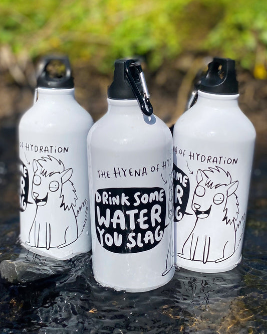 Three Rebel Romance aluminium water bottles standing in a shallow stream. The fun “Drink Some Water You Slag” design features a cartoon hyena named The Hyena of Hydration, encouraging you to stay hydrated.