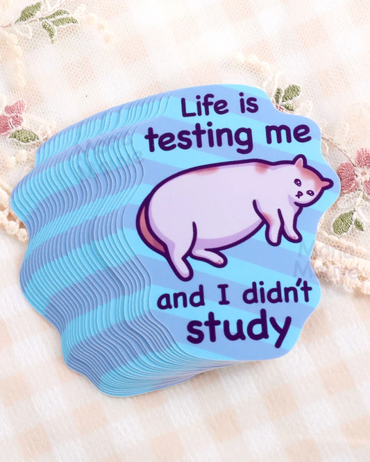 Stack of Rebel Romance’s funny cat vinyl stickers by Mona Mauve, featuring a chubby cartoon cat on a blue striped background with the text “Life is testing me and I didn’t study.” Printed on waterproof vinyl with a glossy finish, ideal for laptops, water bottles, or notebooks. A relatable and humorous gift for millennials dealing with daily chaos and existential dread. Set on a soft vintage lace fabric for a cosy aesthetic.