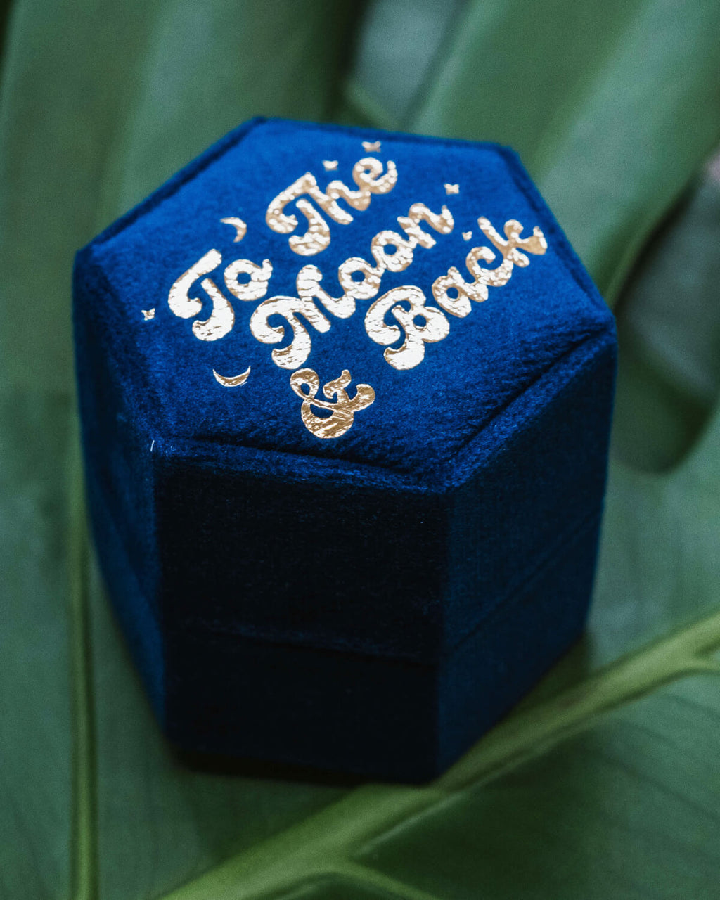A hexagonal blue velvet ring box embossed with the gold text “To The Moon & Back,” set against a backdrop of green leaves for a celestial and romantic aesthetic.