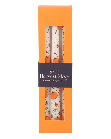 Harvest Moon Taper Candles with Pumpkin Design in Box
Boxed set of three unscented taper candles with autumn pumpkin, cinnamon, and foliage illustrations. Perfect for cosy seasonal décor or gifting. Packaged in an orange box with a window display.