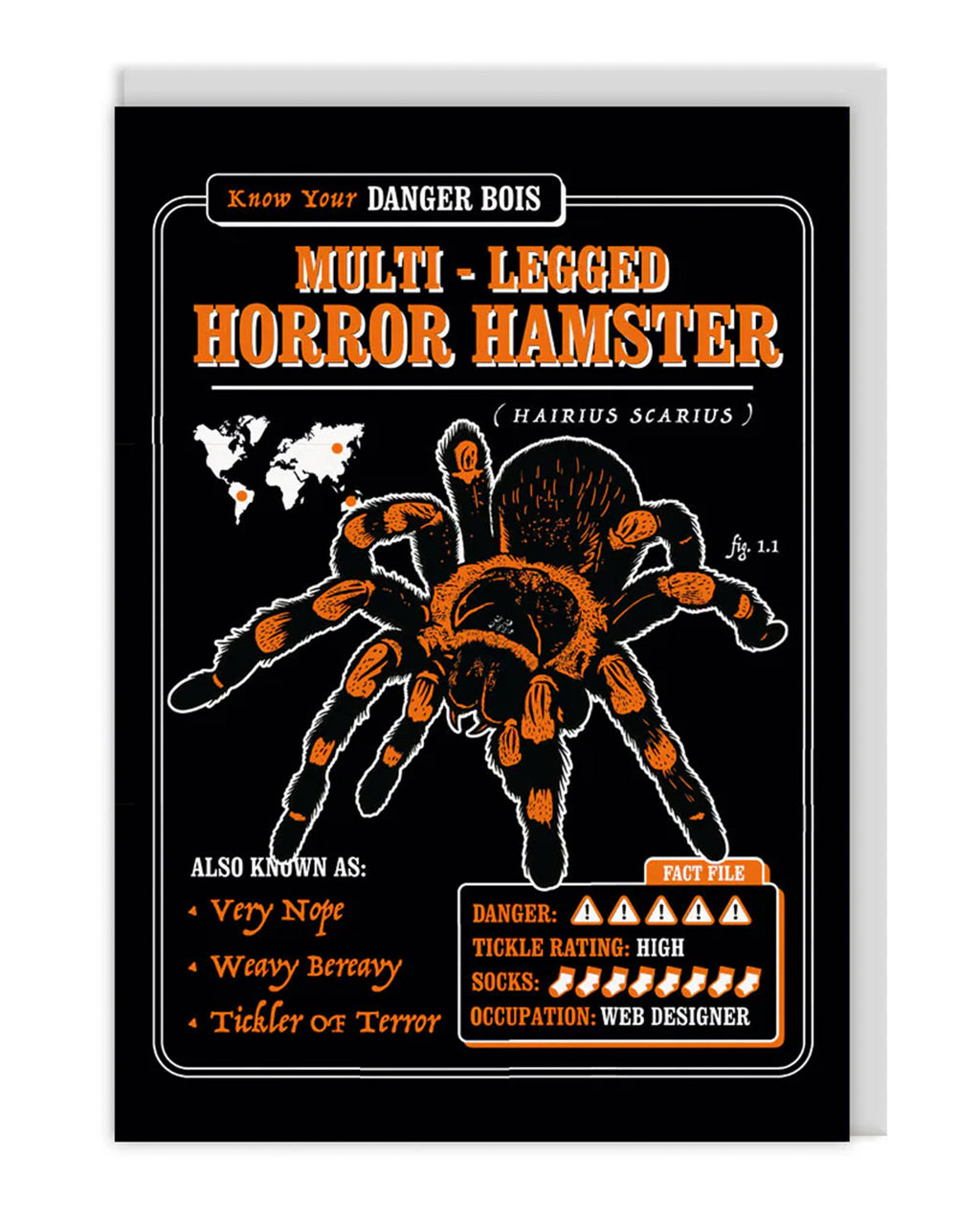 Danger Bois greeting card featuring a creepy-cute tarantula illustration labelled “Multi-Legged Horror Hamster” with retro orange and black colours. Includes spoof scientific name Hairius Scarius, a “fact file” with danger and tickle ratings, and funny aliases like “Tickler of Terror”. A quirky, gothic, and alternative A6 card with pastel grey envelope from small UK brand Rebel Romance.