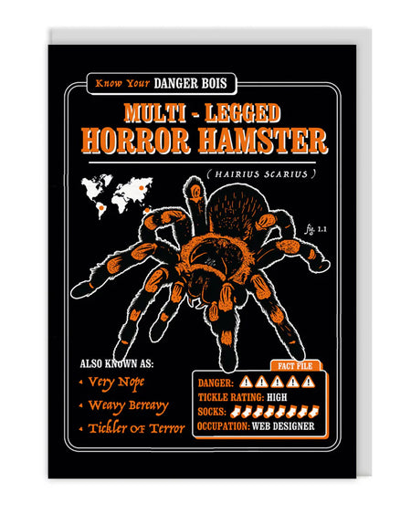 Danger Bois greeting card featuring a creepy-cute tarantula illustration labelled “Multi-Legged Horror Hamster” with retro orange and black colours. Includes spoof scientific name Hairius Scarius, a “fact file” with danger and tickle ratings, and funny aliases like “Tickler of Terror”. A quirky, gothic, and alternative A6 card with pastel grey envelope from small UK brand Rebel Romance.