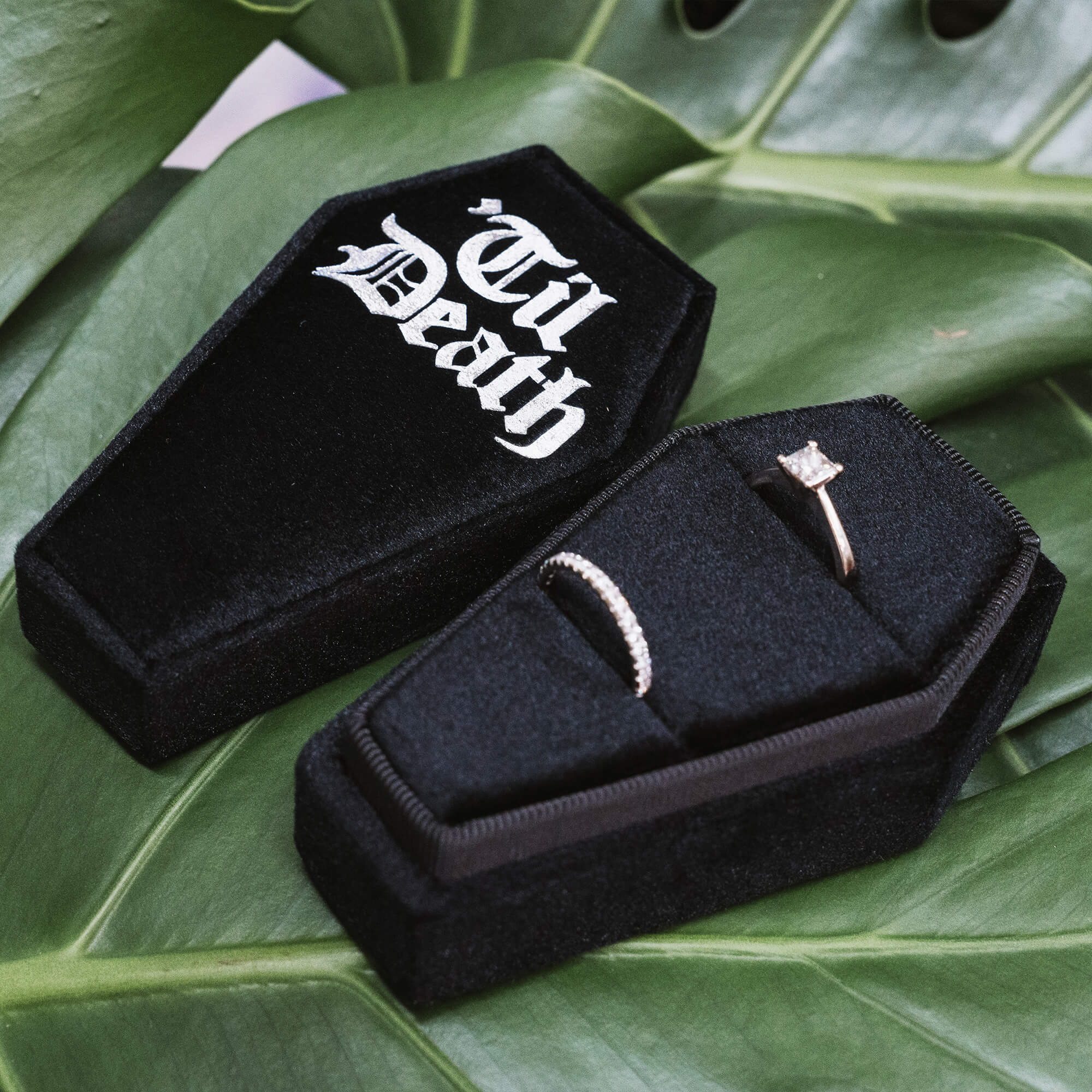 Coffin Shaped Ring Box - Til Death with Rings
A black velvet coffin-shaped ring box featuring two wedding rings—a diamond engagement ring and a band. “Til Death” is printed in gothic white font on the lid, styled against a green leaf background.
